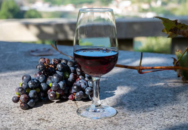 Outdoor tasting of different fortified vintage port wines in glasses in sunny autumn, Douro Valley, Portugal, close up