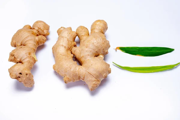 新鲜的有机生姜根茎 用于传统药物和调味食品 从白色分离出来 — 图库照片