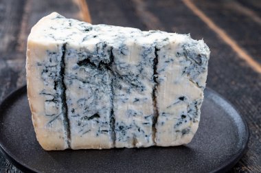 Peynir koleksiyonu, İtalya 'nın kuzeyinden mavi küflü İtalyan peynirli gorgonzola picante.
