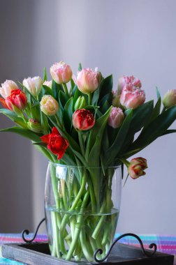 Limonlu bahar buketi. Pembe bahçe laleleri yakın.