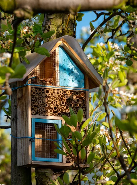 Handmade Wooden Insect Hotel Spring Sunny Fruit Trees Orchard — Stock Photo, Image