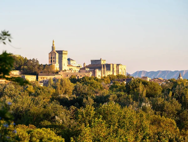 Vista Panorámica Las Antiguas Murallas Palacio Los Papas Antigua Ciudad — Foto de Stock