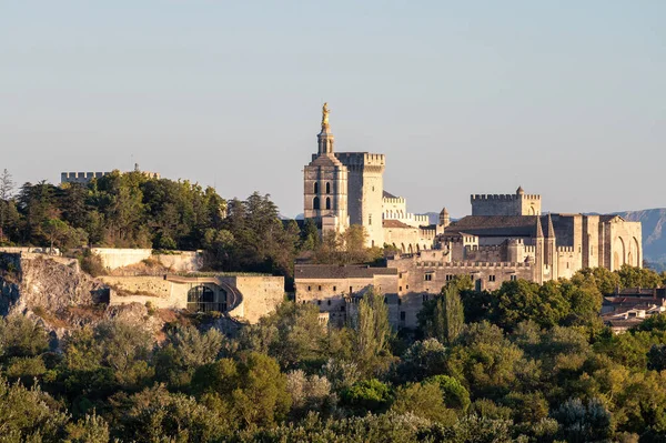 Vista Panorâmica Sobre Paredes Antigas Palácio Papas Cidade Antiga Avignon — Fotografia de Stock