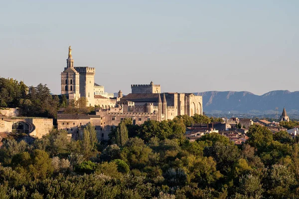 Vista Panorâmica Sobre Paredes Antigas Palácio Papas Cidade Antiga Avignon — Fotografia de Stock