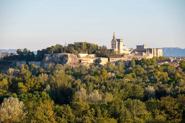 Blick Auf Alte Mauern Und Den Papstpalast Der Antiken Stadt — Stockfoto