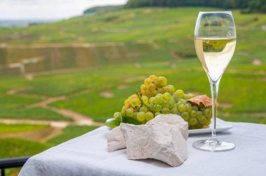Epernay yakınlarındaki Cote des Blancs 'tan beyaz tebeşir taşları, bölge Champagne, Fransa, Cramant' daki Grand Cru üzüm bağlarından bir bardak blanc de blancs şampanyası ve beyaz Chardonnay üzümleri.