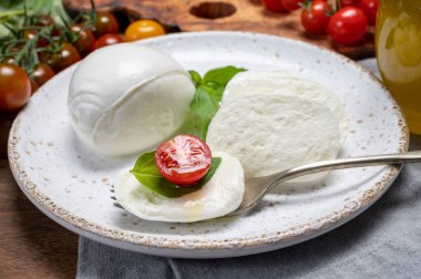 Peynir koleksiyonu, beyaz İtalyan peyniri mozzarellası yemek, kırmızı vişneli domates ve taze fesleğen yapraklarıyla servis edilmek.