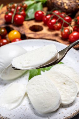 Peynir koleksiyonu, beyaz İtalyan peyniri mozzarellası yemek, kırmızı vişneli domates ve taze fesleğen yapraklarıyla servis edilmek.