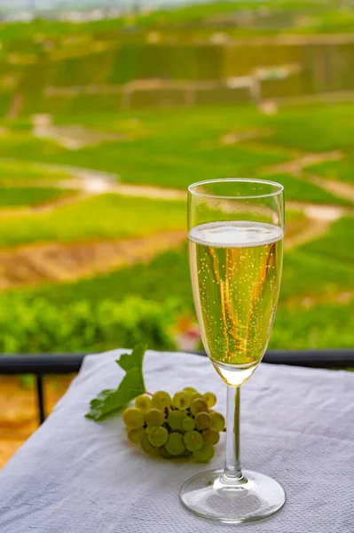 Ochutnávka Francouzského Šumivého Bílého Vína Bublinkami Šampaňského Venkovní Terase Výhledem — Stock fotografie