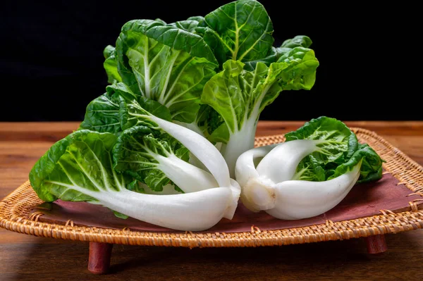 Jovens Orgânicos Bok Choy Branco Bak Choi Repolho Chinês Pronto — Fotografia de Stock