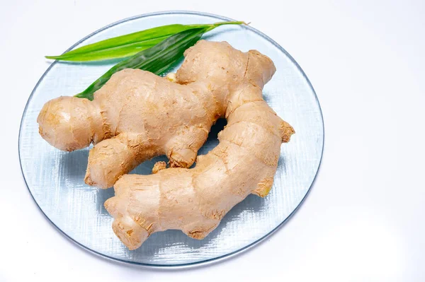 Fresh Organic Ginger Rhizome Root Used Traditional Medicines Flavoring Meals — Stock Photo, Image