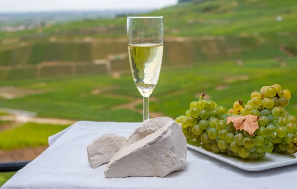White chalk stones from Cote des Blancs near Epernay, region Champagne, France, glass of blanc de blancs champagne from grand cru vineyards in Cramant and white chardonnay grapes close up
