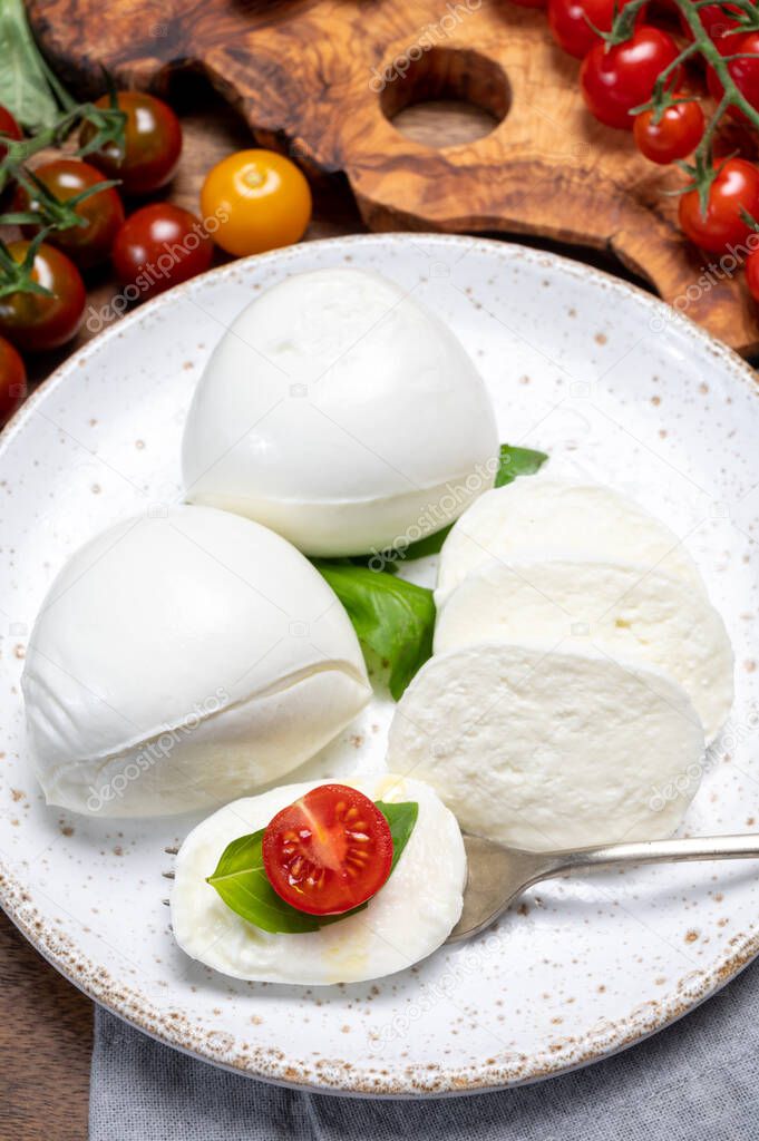 Cheese collection, eating of white soft Italian cheese mozzarella, served with red cherry tomatoes, fresh basil leaves close up