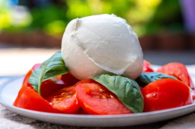 Vejetaryen caprese salatası, mozzarella peyniri, taze fesleğen, domates. İtalyan yemekleri terasta servis edilir, yakın.