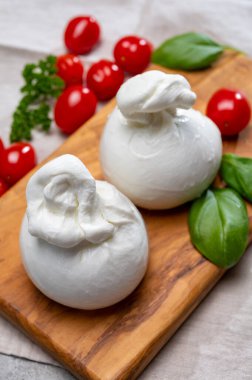 Peynir koleksiyonu, mozzarelladan yapılmış taze beyaz burrata peyniri ve Apulia, İtalya 'dan gelen krema.
