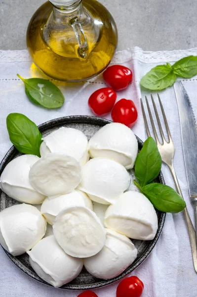 おいしいイタリア料理 カンパニアとトマトの新鮮な白い水牛のモッツァレラソフトチーズボール 新鮮なバジルとオリーブオイル クローズアップ — ストック写真