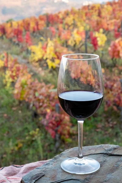 Bicchiere Vino Rosso Portoghese Secco Prodotto Valle Del Douro Colorati — Foto Stock