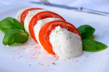 Yumuşak beyaz İtalyan peynirli mozzarella bufalo, yeşil fesleğen, kırmızı domates ve origano otundan yapılmış taze Caprese salatası.
