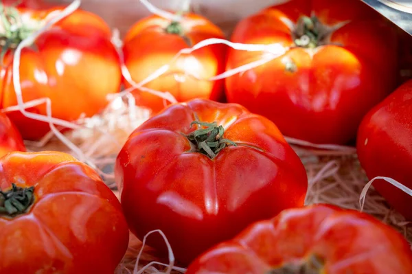 Sortimento Tomates Salada Franceses Nova Colheita Tomates Herança Grandes Mercado — Fotografia de Stock