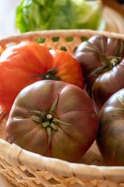 Skörd Stora Raddish Lila Heirloom Tomater Svart Krim Närbild — Stockfoto