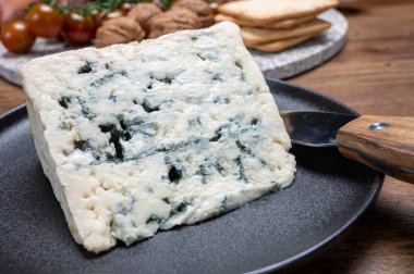 Peynir koleksiyonu, rokfor grotten of roquefort-sur-Soulzon, Fransa 'dan Fransız rokfor peyniri, kapatın.