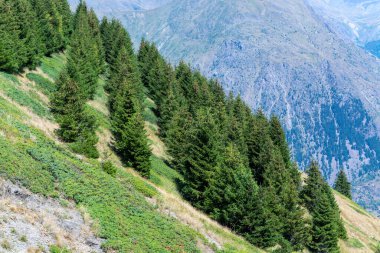 Yazın Les Ecrins, Isere, Fransa 'da kayak istasyonu Les deux Alpes' in yanında yürüyüş ve Alp dağlarının zirveleri manzarası.