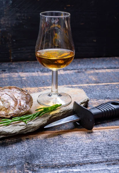 Food and drink pairing, Fresh raw European flat oysters grown in Brittany in Belon river, France, close up and scotch single malt whisky from Islay island, Scotland