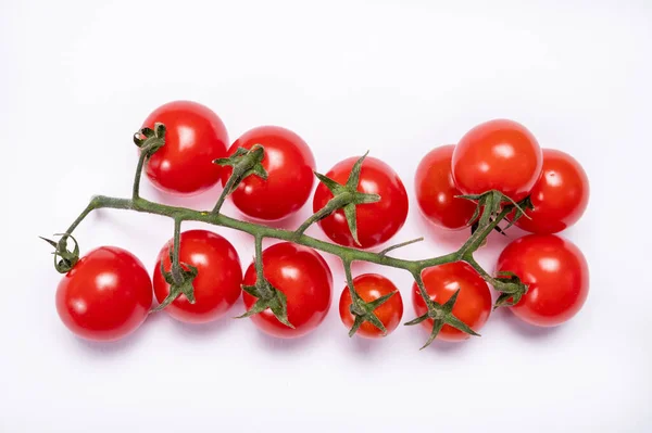 Vinná Réva Čerstvé Zralé Sladké Cherry Rajčata Připravené Jídlu Bílém — Stock fotografie