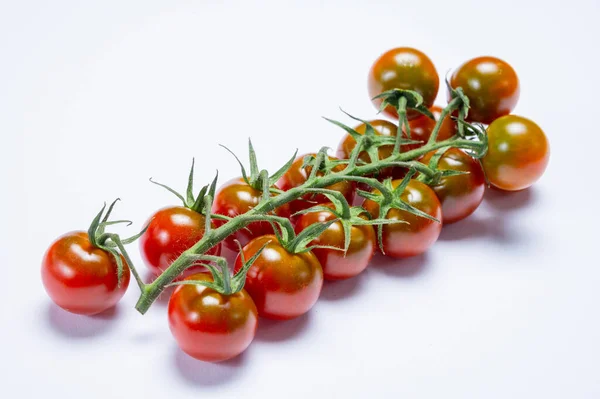 Vine Fresh Ripe Sweet Cherry Tomatoes Ready Eat White Background — Stock Photo, Image