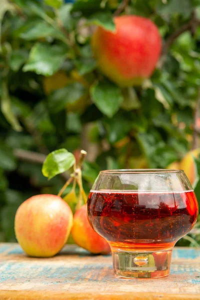 Vaso Sidra Manzana Rosa Dulce Normandía Servido Jardín Francia Manzano — Foto de Stock