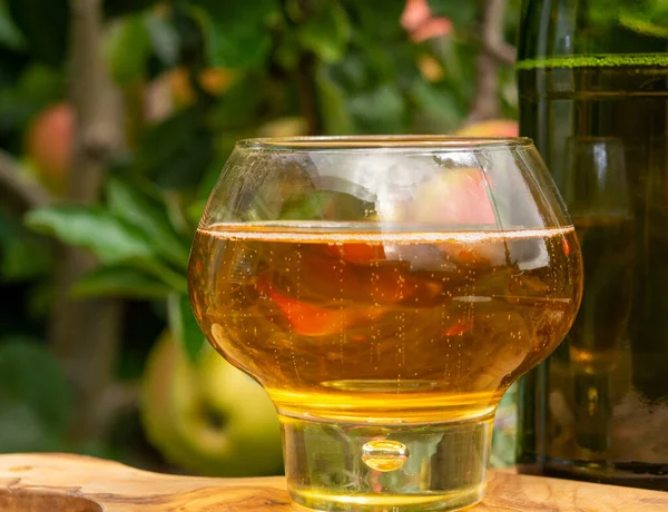 Glas Brut Äppelcider Från Normandie Serveras Trädgården Frankrike Och Grönt — Stockfoto