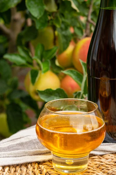 Vaso Sidra Manzana Brut Normandía Servido Jardín Francia Manzano Verde — Foto de Stock