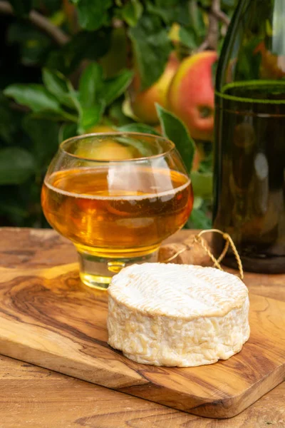 Taste Normandy France Glass Apple Cider Camembert Cheese Served Orchard — Stock Photo, Image