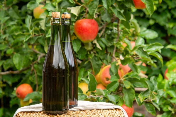 しかし ボトル フランス 緑のリンゴの木のノルマンディーからのバラのアップルサイダーと熟した赤い果実が背景にあります — ストック写真