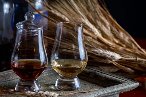 Gläser Single Malt Und Blended Scotch Whisky Serviert Einer Bar — Stockfoto