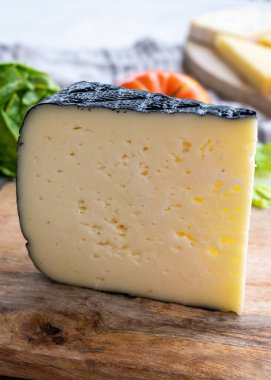 Peynir koleksiyonu, küçük delikli Fransız fol epi peyniri, etorki, tomme noire des pyrenees ve ossau iraty peynirleri