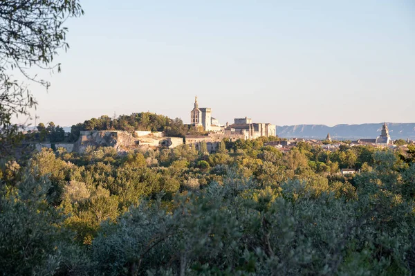 Eski Duvarlarda Panoramik Manzara Antik Şehir Avignon Papa Sarayı Güney — Stok fotoğraf