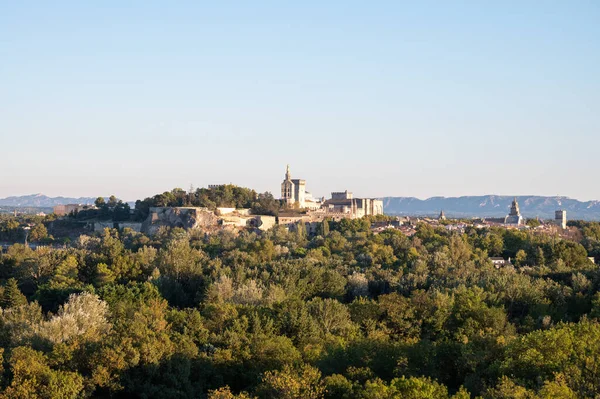 Panoramatický Pohled Staré Zdi Palác Papežů Starobylém Městě Avignonu Jižní — Stock fotografie