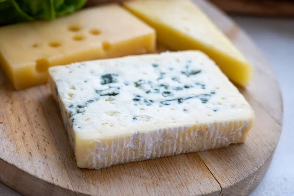 奶酪系列 有许多小孔的法国面奶酪 意大利面乳酪 法国面乳酪 意大利面乳酪 — 图库照片
