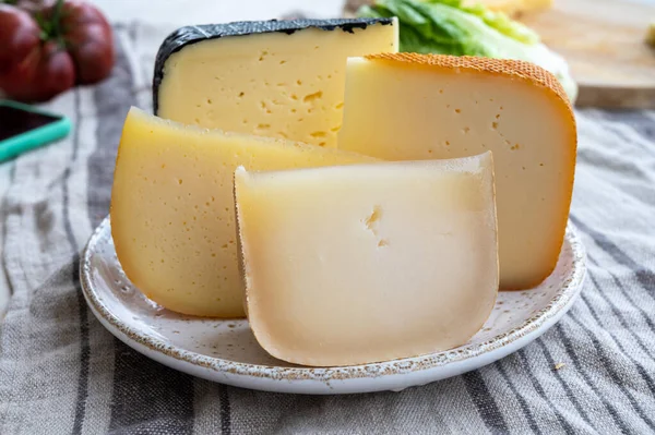 Coleção Queijos Queijo Francês Fol Epi Com Muitos Pequenos Buracos — Fotografia de Stock