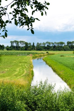 Yaz aylarında bembeyaz bulutlu Hollanda yeşil manzarası. Betuwe, Gelderland