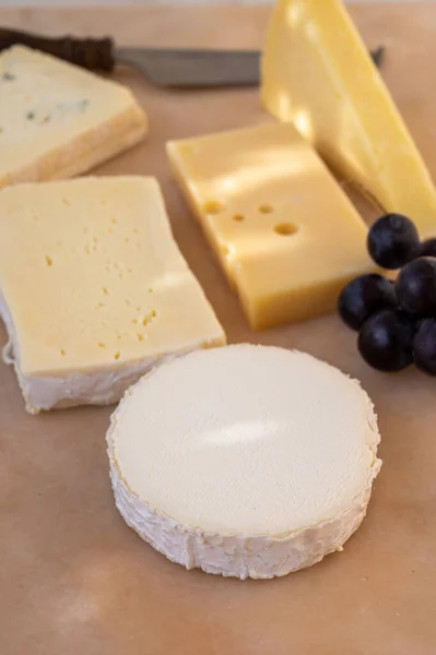 French Cheese Collection Marble Board Emmental Carre Aurillac Petit Cantal — Stock Photo, Image
