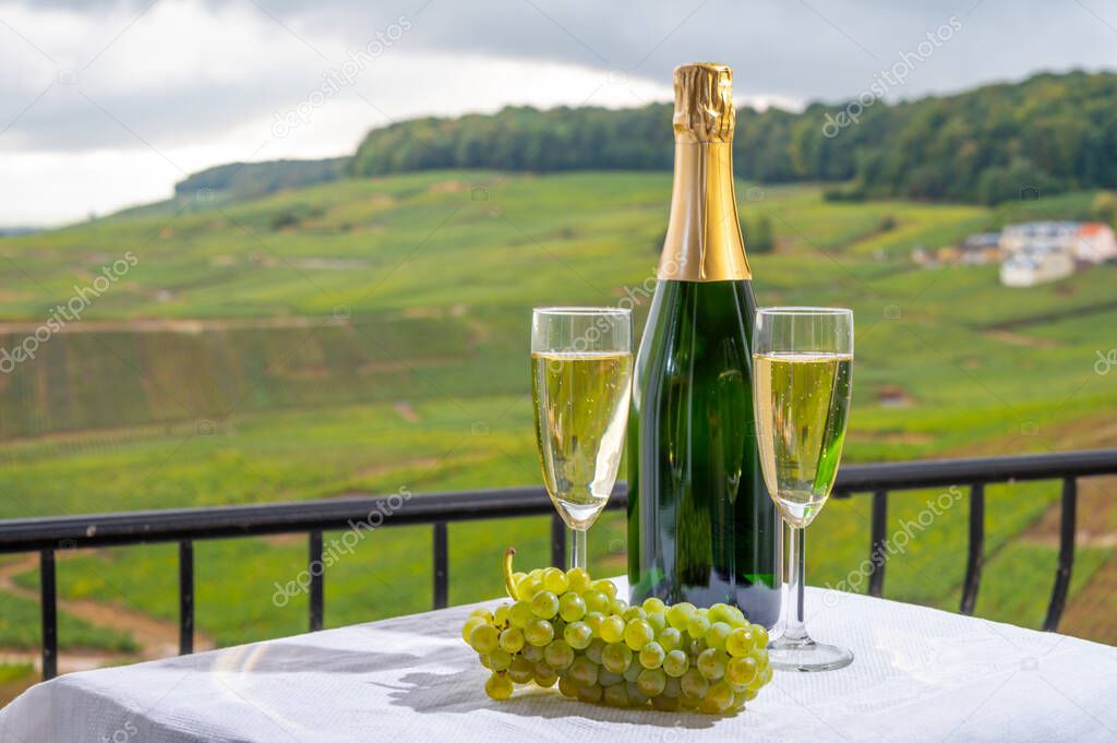 Tasting of french sparkling white wine with bubbles champagne on outdoor terrace with view on green grand cru Champagne vineyards in Cramant, near Epernay, France