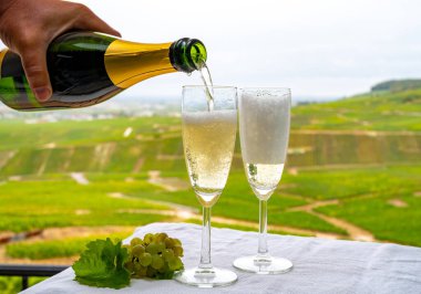 Fransa 'nın Epernay yakınlarındaki Cramant' da yeşil Grand Cru Champagne Vineyards manzaralı baloncuklu Fransız beyaz şarabı tatmak.