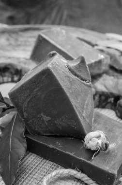 Provence, Fransa 'dan el yapımı yeşil biyo-sebze defne yaprağı sabunu.