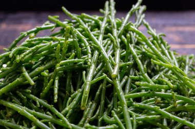 Lezzetli vejetaryen deniz ürünleri, taze çiğ yeşil salicornia ya da cam salyangoz, turşu.