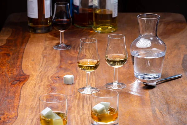 Bicchiere Degustazione Con Forte Bevanda Alcolica Whisky Cognac Armagnac Calvados — Foto Stock
