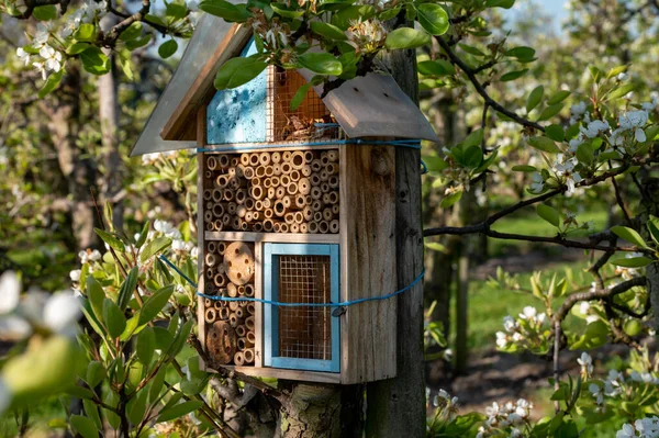 Handmade wooden insect hotel in spring sunny fruit trees orchard