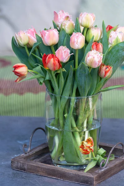 Frühlingsstrauß Mit Rosa Frischen Gartentulpen Aus Nächster Nähe — Stockfoto