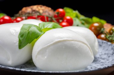 Peynir koleksiyonu, beyaz İtalyan peynirli mozzarella topları, kırmızı vişneli domates ve taze fesleğen yapraklarıyla servis ediliyor.